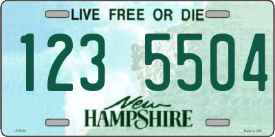 NH license plate 1235504