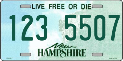 NH license plate 1235507