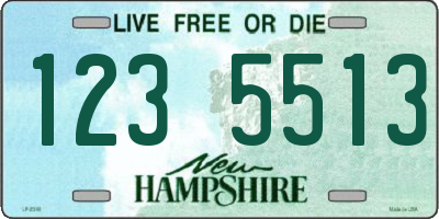 NH license plate 1235513