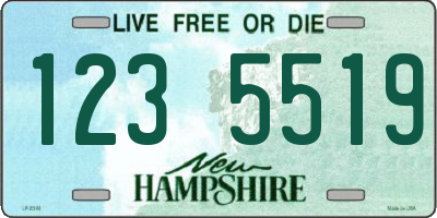 NH license plate 1235519