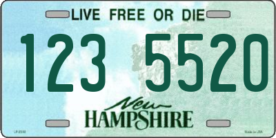 NH license plate 1235520