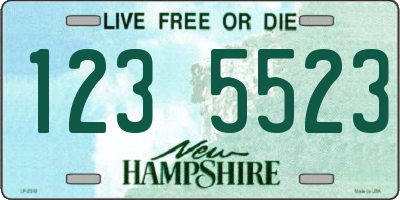 NH license plate 1235523