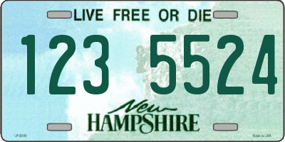 NH license plate 1235524