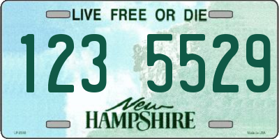 NH license plate 1235529