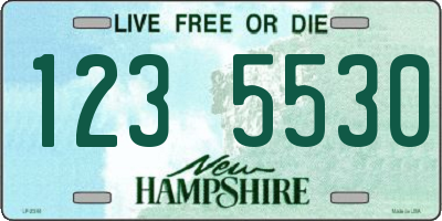 NH license plate 1235530