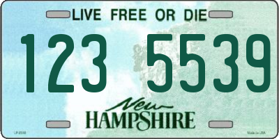 NH license plate 1235539