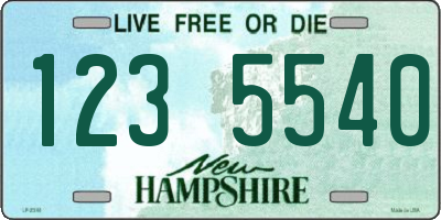 NH license plate 1235540