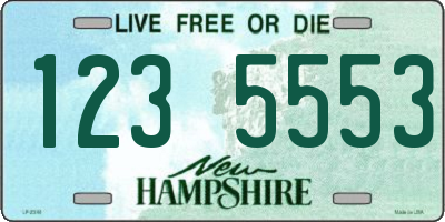NH license plate 1235553