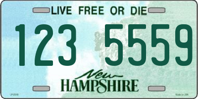 NH license plate 1235559
