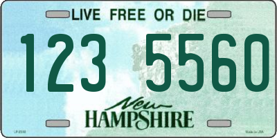 NH license plate 1235560