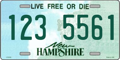 NH license plate 1235561