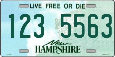 NH license plate 1235563