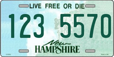 NH license plate 1235570