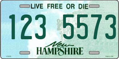 NH license plate 1235573