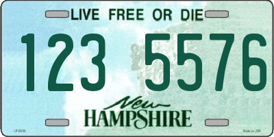 NH license plate 1235576
