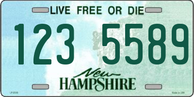 NH license plate 1235589