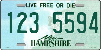 NH license plate 1235594
