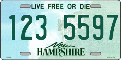 NH license plate 1235597