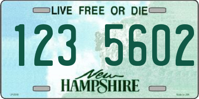 NH license plate 1235602