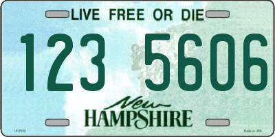 NH license plate 1235606