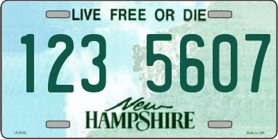 NH license plate 1235607