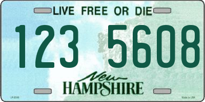 NH license plate 1235608
