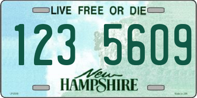 NH license plate 1235609