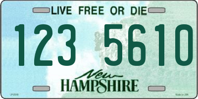 NH license plate 1235610