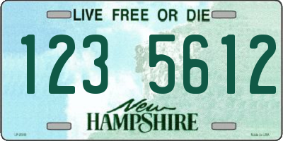 NH license plate 1235612