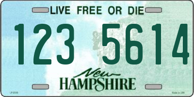 NH license plate 1235614