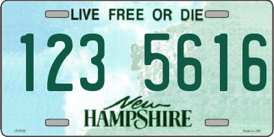 NH license plate 1235616