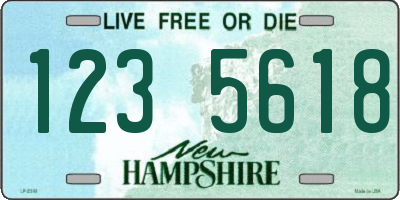 NH license plate 1235618