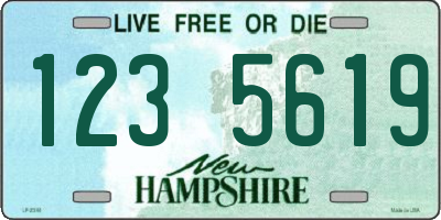NH license plate 1235619