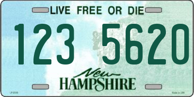 NH license plate 1235620