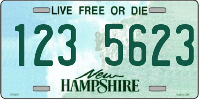 NH license plate 1235623