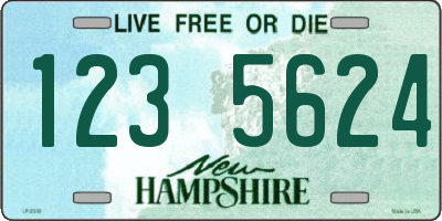 NH license plate 1235624
