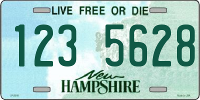 NH license plate 1235628