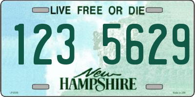 NH license plate 1235629