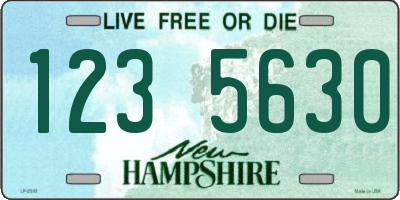 NH license plate 1235630
