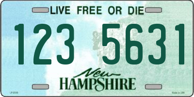 NH license plate 1235631