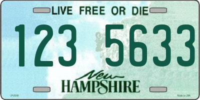 NH license plate 1235633