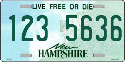 NH license plate 1235636