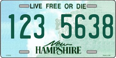 NH license plate 1235638