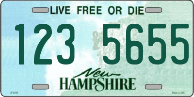 NH license plate 1235655
