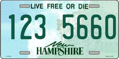 NH license plate 1235660