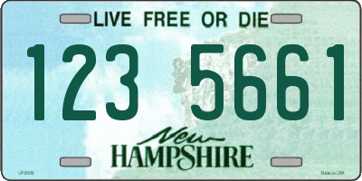 NH license plate 1235661