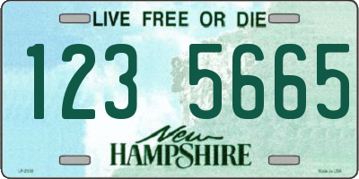 NH license plate 1235665