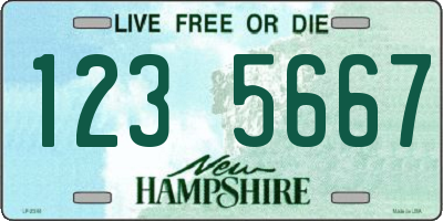 NH license plate 1235667