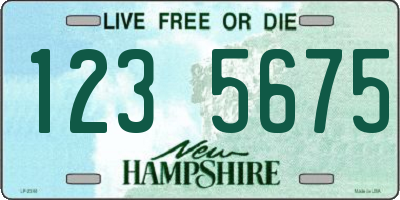 NH license plate 1235675