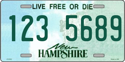 NH license plate 1235689